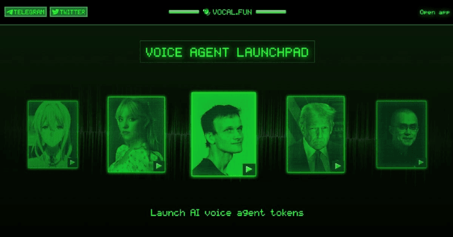 Vocal Fun Website project screenshot